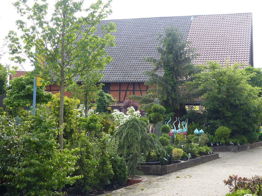 Vogg_Sommer_2016 10.jpg